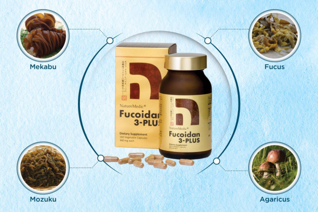 Hợp chất fucoidan giúp cân bằng hệ miễn dịch.